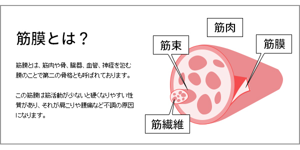 ストレッチポール