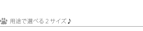 ２サイズ