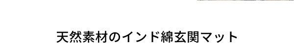 玄関ラグ